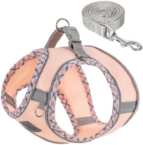 Dog Harness and Leash Set, No Pull Pet Harness by TomteNisse