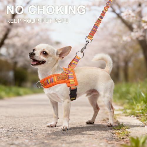 BEAUTYZOO Small Dog Harness and Leash Set, No Pull Step in Puppy Vest - Image 2