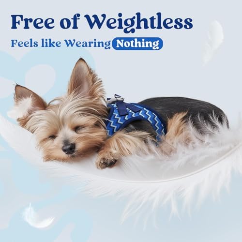 rabbitgoo Step-in Small Dog Harness, Puppy Vest - Image 5