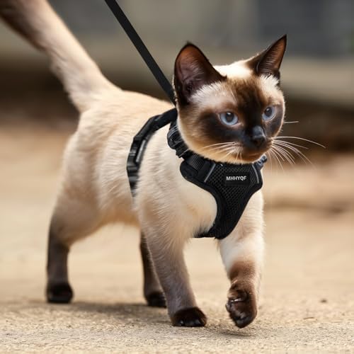 Cat Harness and Leash Set for Walking Escape Proof, Improved Four Place - Image 6