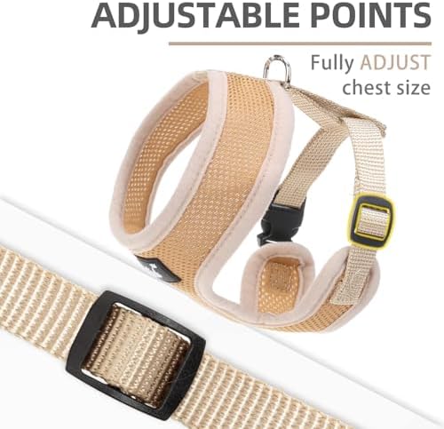 PUPTECK Small Dog Harness and Leash Set No Pull - Image 3