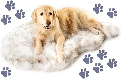 PAW BRANDS PupRug Orthopedic Memory Foam Dog Bed by PAWBRANDS