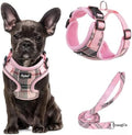 PUPTECK Small Dog Harness and Leash Set No Pull by PUPTECK