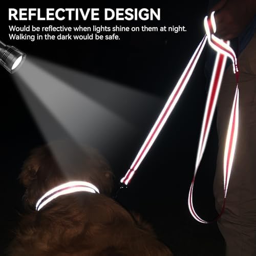 Joytale Reflective Dog Leash for Medium & Large Dogs, 6 FT x 1" - Image 4