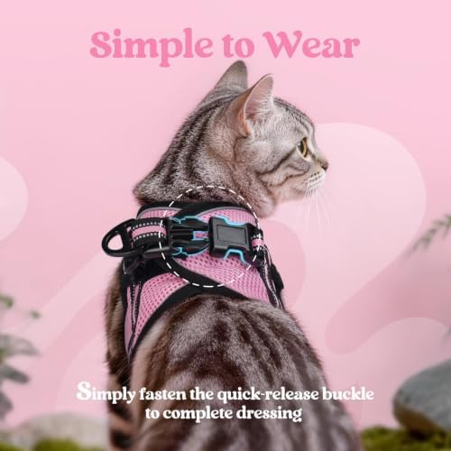 rabbitgoo Cat Harness and Leash Set, Step-in Soft Vest - Image 4