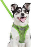 Eagloo Small Dog Harness and Leash Set, Step in Medium Small Puppy Pet Vest by GoExplorewithEagloo