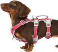 Huntboo No Escape Dog Harness, Escape Proof Harness, Fully Reflective Harness by Huntboo