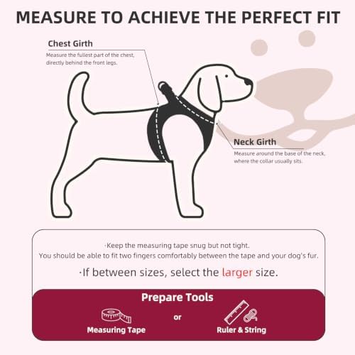 PUPTECK Dog Harness, Collar and Leash Set No Pull - Image 2