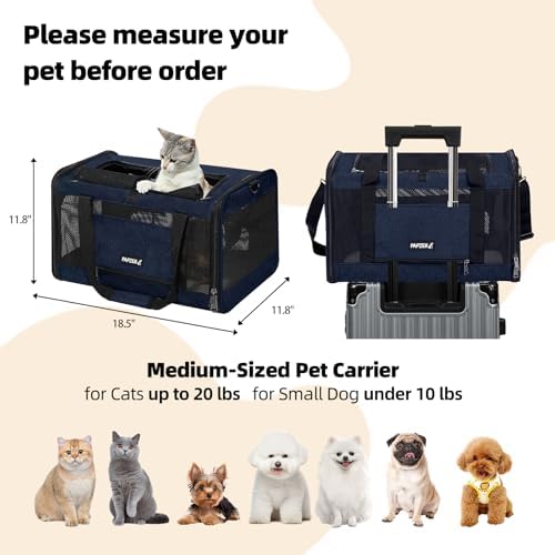 Cat Carrier Soft-Sided Travel Bag - Image 2