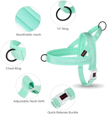 Didog No Pull Dog Harness with Breathable Mesh Padded, Quick Fit & Easy on Dog - Image 5