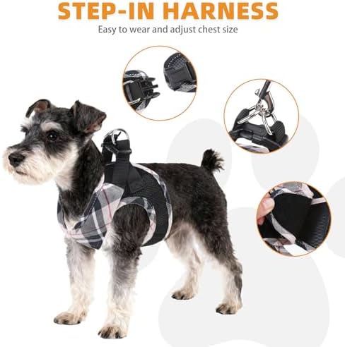KOOLTAIL Dog Harness and Leash Set, Cute Dog Harness Medium Sized Dog, Step in - Image 4