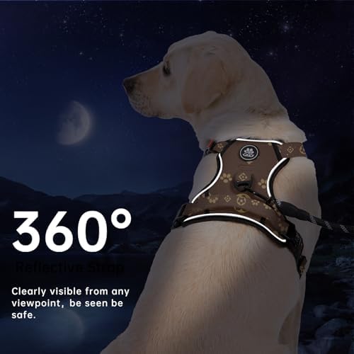 IVY&LANE No Pull Dog Harness for Small Dogs, Reflective Dog Vest Harness - Image 5