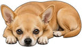 3D Realistic Dog Shaped Bath Mat & Floor Rug by MOFABIA