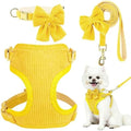 Small Dog Collar Harness and Leash Set, Dog Harness no Pull by Unknown