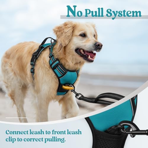 rabbitgoo Dog Harness, No Pull for Small Dogs - Image 5
