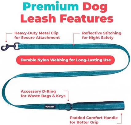 Best Pet Supplies Voyager Nylon Dog Leash - Image 2