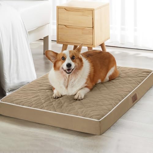 WNPETHOME Orthopedic Waterproof Large Sized Senior Dogs Bed by WNPETHOMEPETSHOME