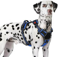 Eagloo Dog Harness No Pull for Large Dogs, Easy On & Off by GoExplorewithEagloo