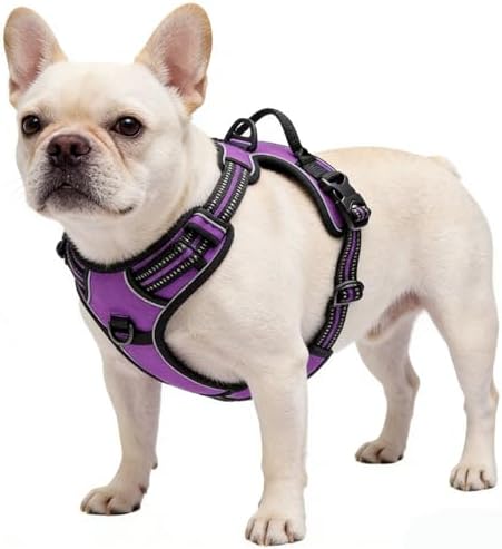 Purple No-Pull Dog Harness - Image 5