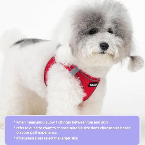 Solmoony Sparkly Small Dog Harness and Leash Set, Step in Soft Light Puppy Vest - Image 2