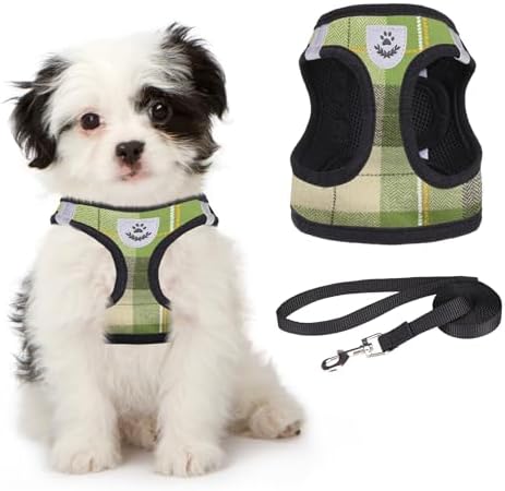 KOOLTAIL Dog Harness and Leash Set by KOOLTAIL