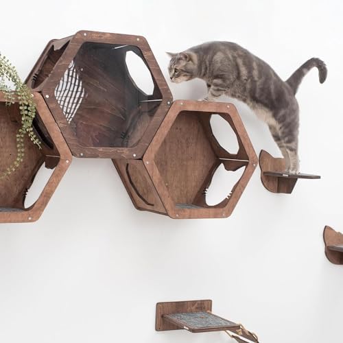 Wall Cat Shelves Wood Shelves Furniture - Image 4