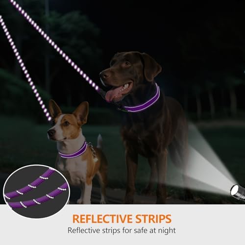 Taglory Double Dog Leash Coupler - Image 4