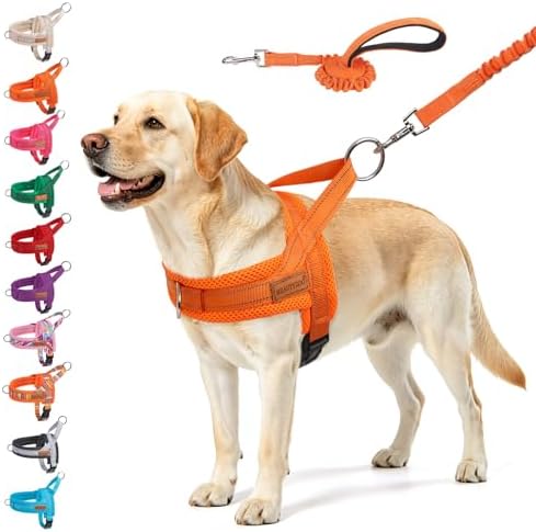 BEAUTYZOO Dog Harness for Large Dogs, No Pull Step in Pet Vest and Leash Set by BEAUTYZOO