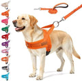 BEAUTYZOO Dog Harness for Large Dogs, No Pull Step in Pet Vest and Leash Set by BEAUTYZOO