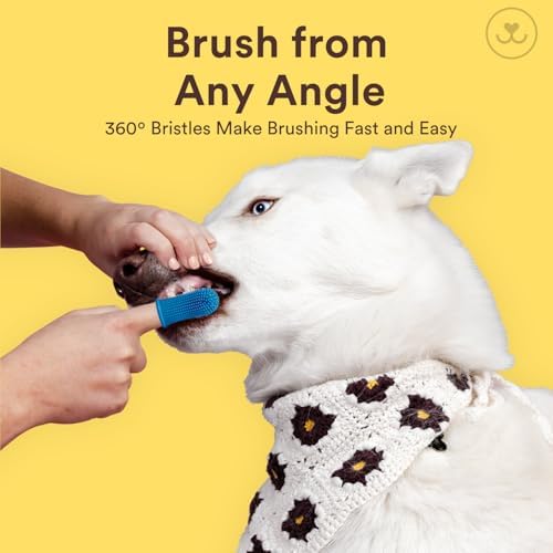 Jasper Large Dog Toothbrush, 360 Degree Pet Tooth Brushing Kit, Cat Toothbrush - Image 4