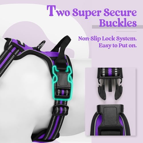 rabbitgoo Dog Harness, No Pull for Small Dogs - Image 3