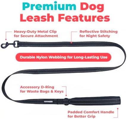 Best Pet Supplies Voyager Nylon Dog Leash - 6ft Black - Image 2