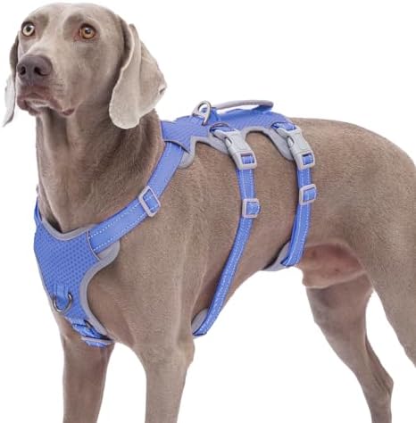 Huntboo Escape Proof Dog Harness, No Pull Reflective Harness by Huntboo