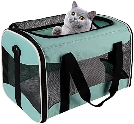 Cat Carrying Case by home