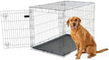 Carlson Pet Products Secure and Foldable Single Door Metal Dog Crate, Extra by Carlson%C2%AEPetProducts