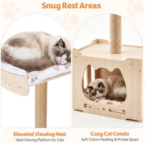 Cat Window Perch for Large Cats - Image 4