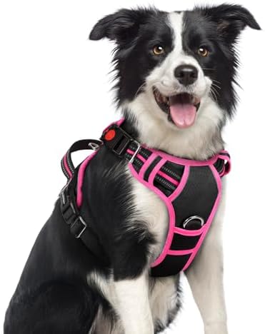 rabbitgoo Dog Harness Medium Sized, No Pull 3 Buckles Easy On & Off by rabbitgoo