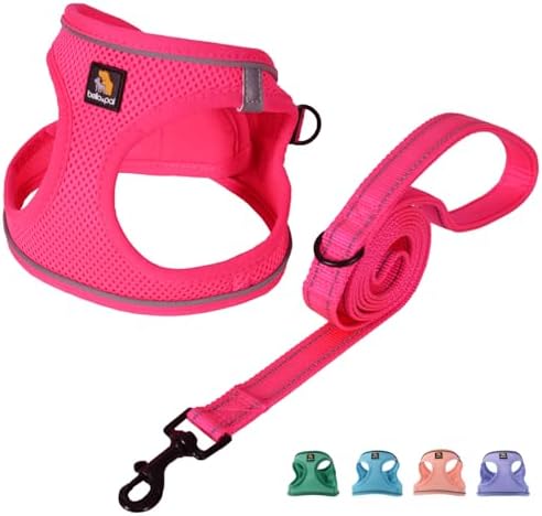 BELLA & PAL Step in Puppy Harness and Leash Set by BELLAPAL