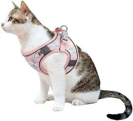 Step in Mesh Dog Harness and Leash Set - Image 6