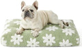 LE SURE Cute Aesthetic Bed Medium Size Dog, Jacquard Thick Pet Pillow 30x20 by Lesure