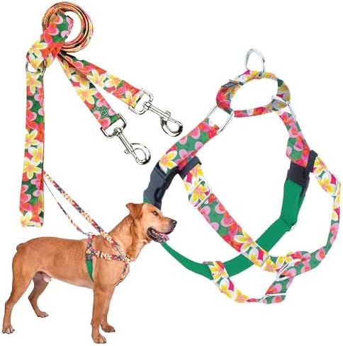 2 Hounds Design by 2HoundsDesign