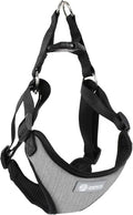 AKC Premium Padded Step-in Dog Harness – Soft Comfort Fit by AmericanKennelClub