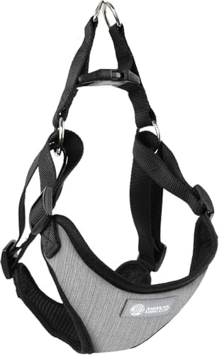 AKC Premium Padded Step-in Dog Harness – Soft Comfort Fit by AmericanKennelClub