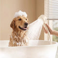 Dog Shower Attachment for Bathtub Faucet by Unknown