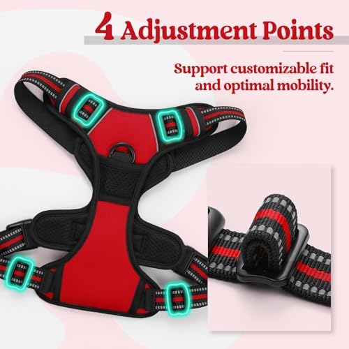 rabbitgoo Dog Harness, No Pull for Large Dogs - Image 4