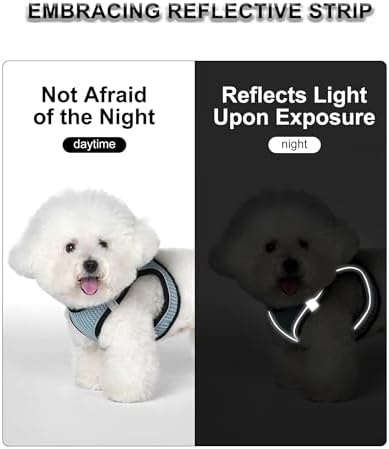 Dog Harness Small Sized and Leash Set, Step in Soft Light Puppy Vest, - Image 3