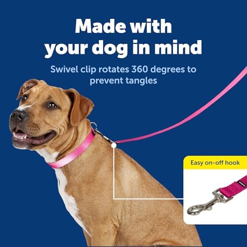 PetSafe Nylon Dog Leash, Raspberry Pink, 3/4 in x 4 ft - Image 3