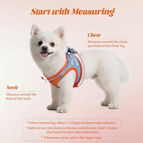 No Pull Dog Puppy Harness and Leash Set Reflective Mesh Vest Large - Image 2