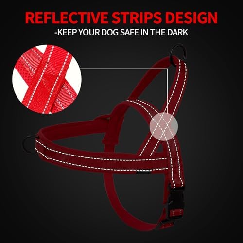 No Pull Dog Harness and 5FT Leash Set - Image 3