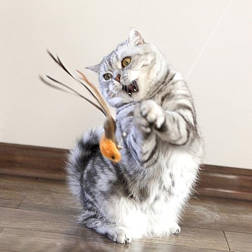 miwoowim Interactive Cat Wand Toy Set, 2 Telescopic Rods & 11 Attachments - Image 6